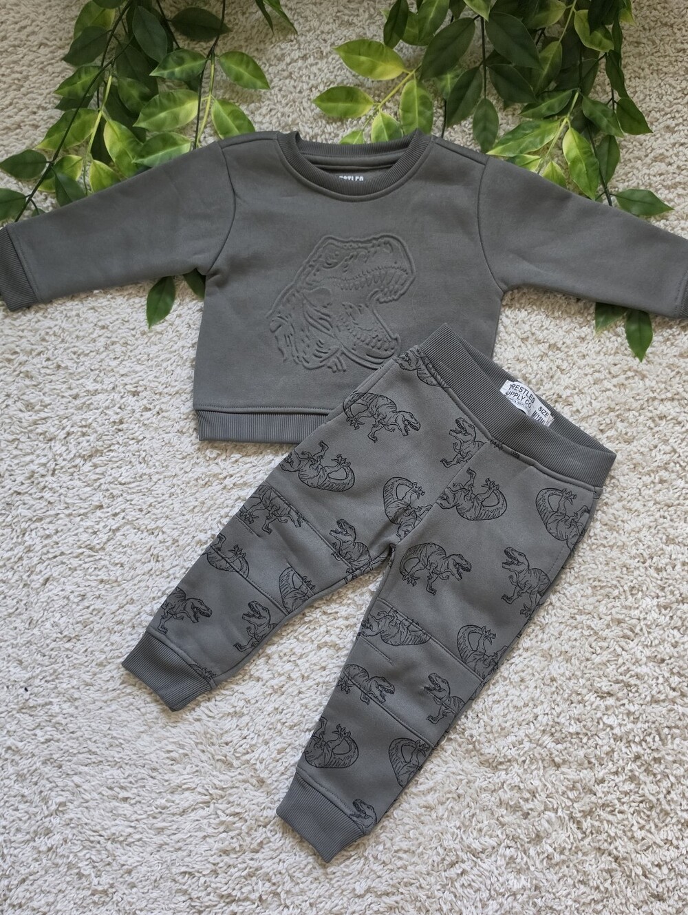 Baby Boy Dinosaur Outfit (12-18 Months)